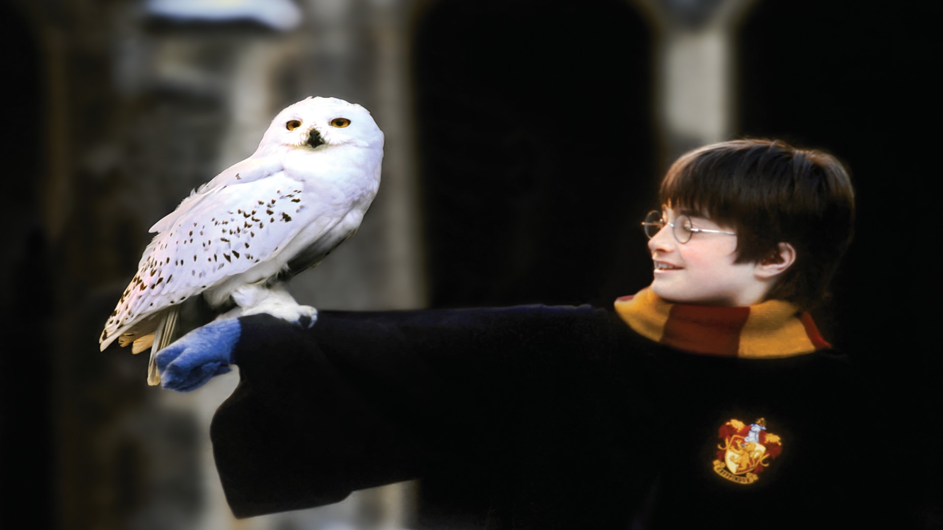 21. Harry and Hedwig