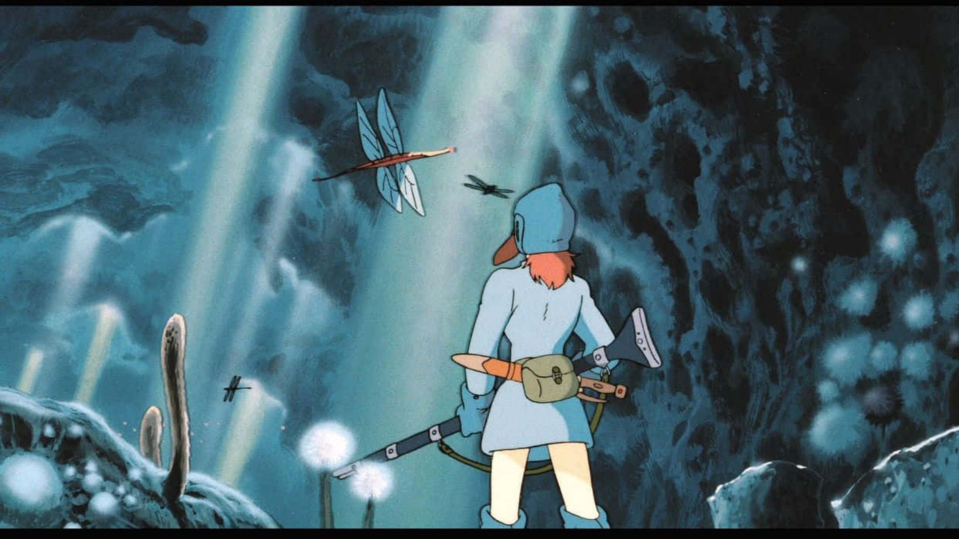 7. Environmental Themes