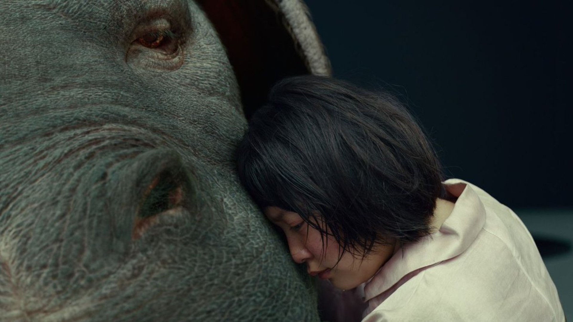 13. Okja (2017)