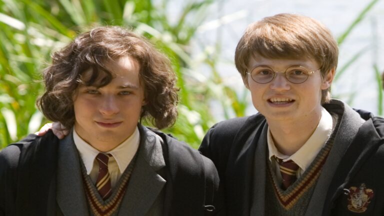 Sirius Black And James Potter 1 768x432