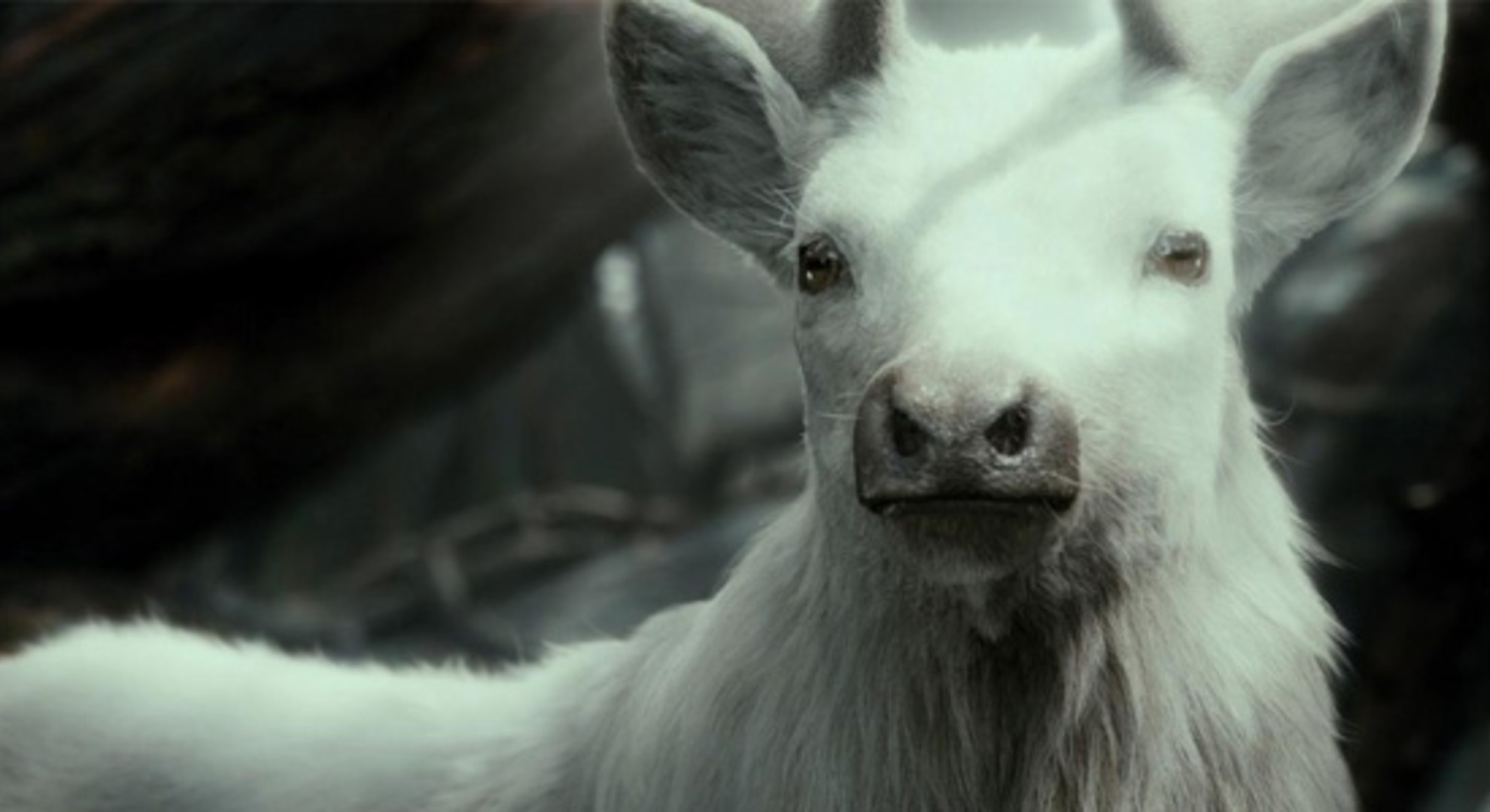 20. The White Stag in Mirkwood (Symbolic Nod)