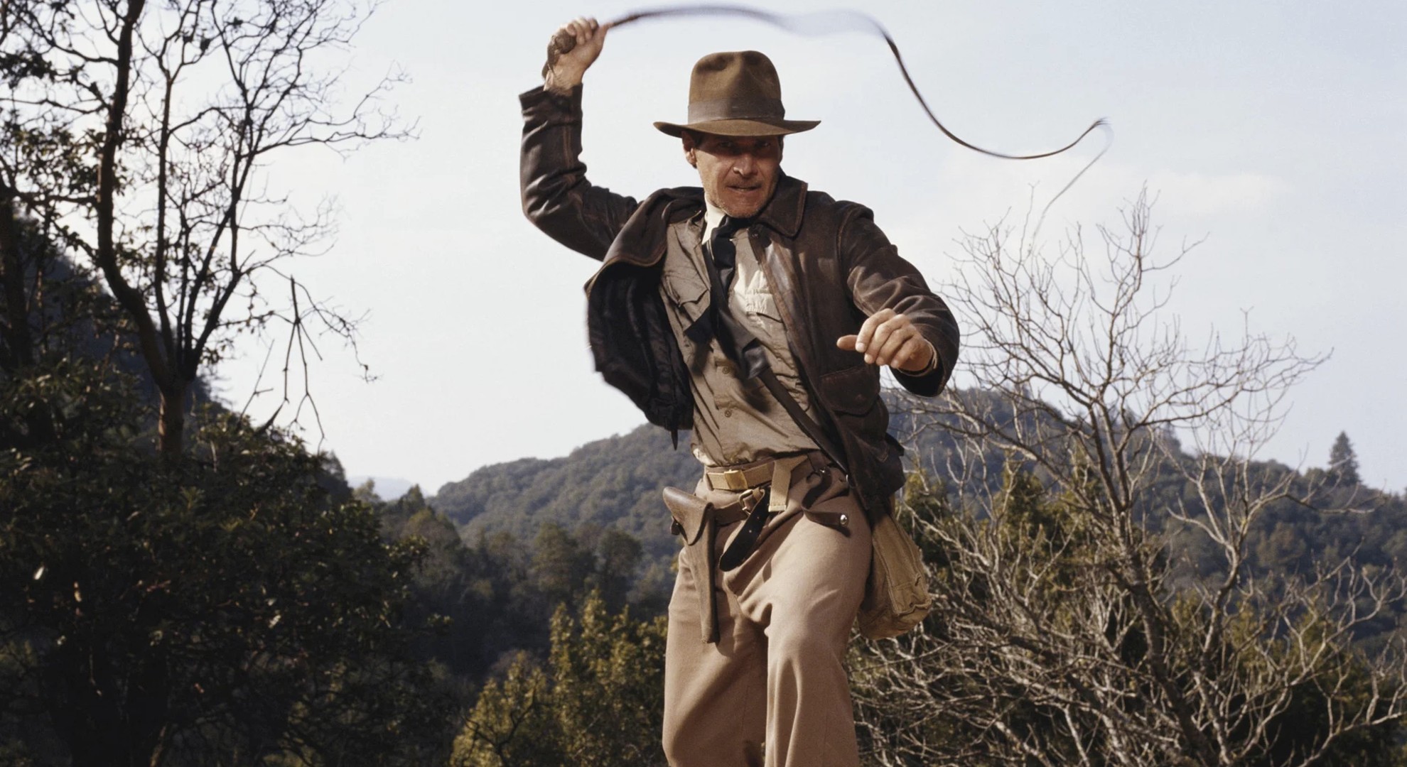 11. Defining the Whip as a Weapon