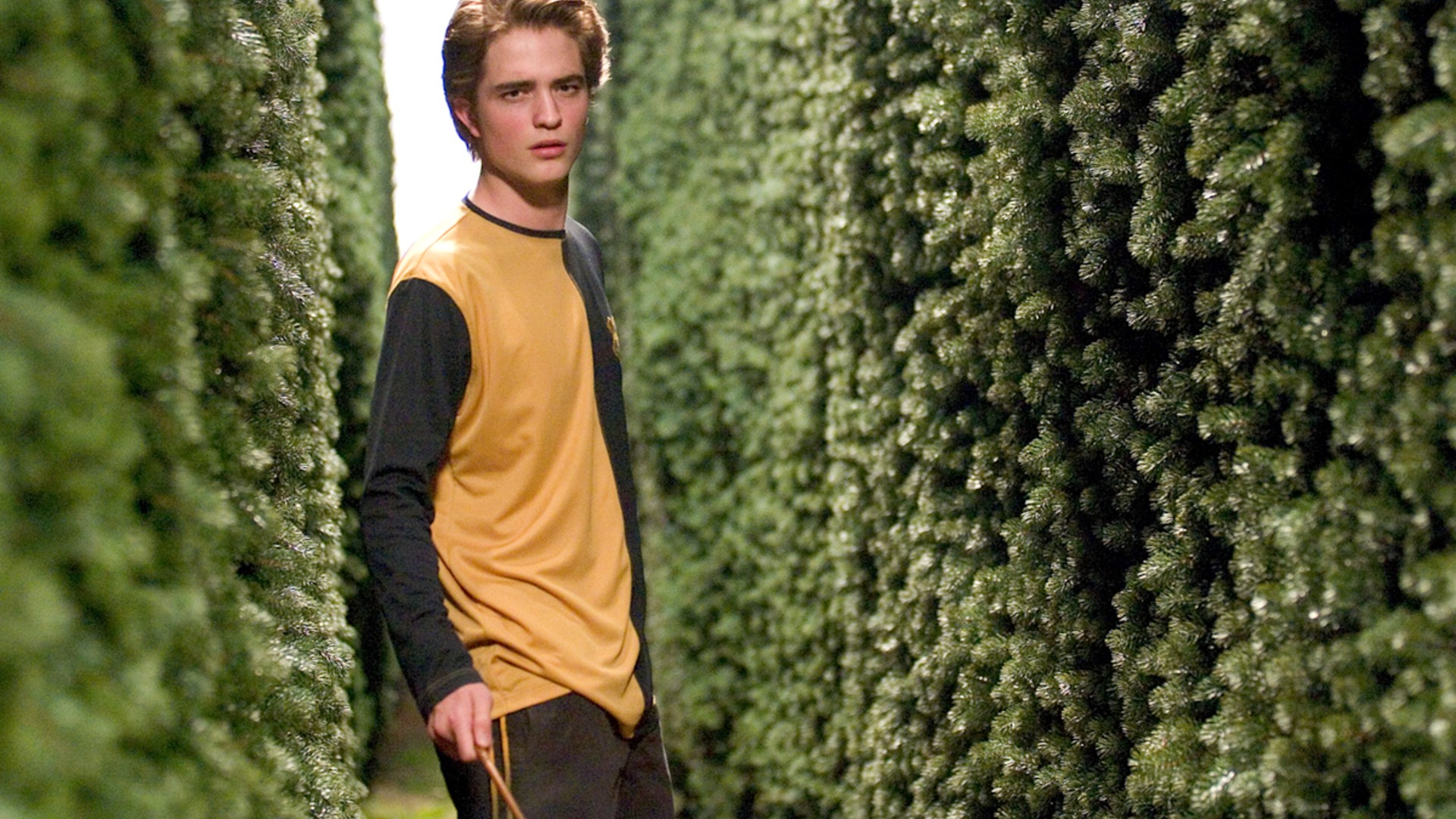 1. Cedric Diggory