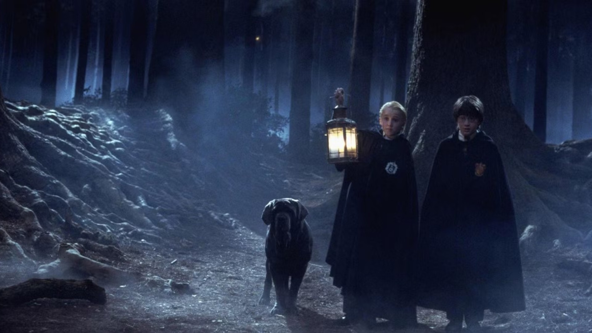 18. The Forbidden Forest