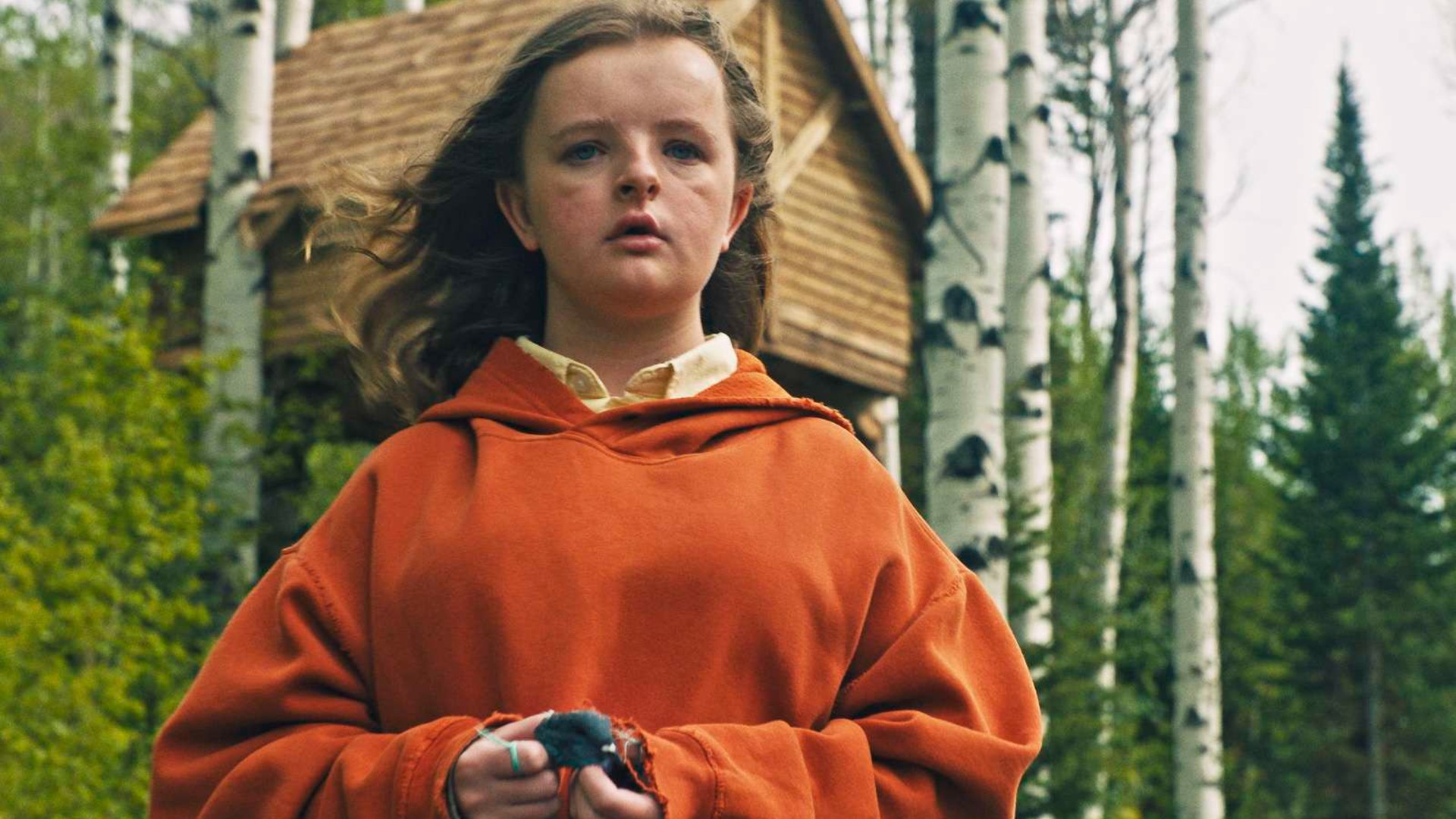 6. Hereditary (2018)