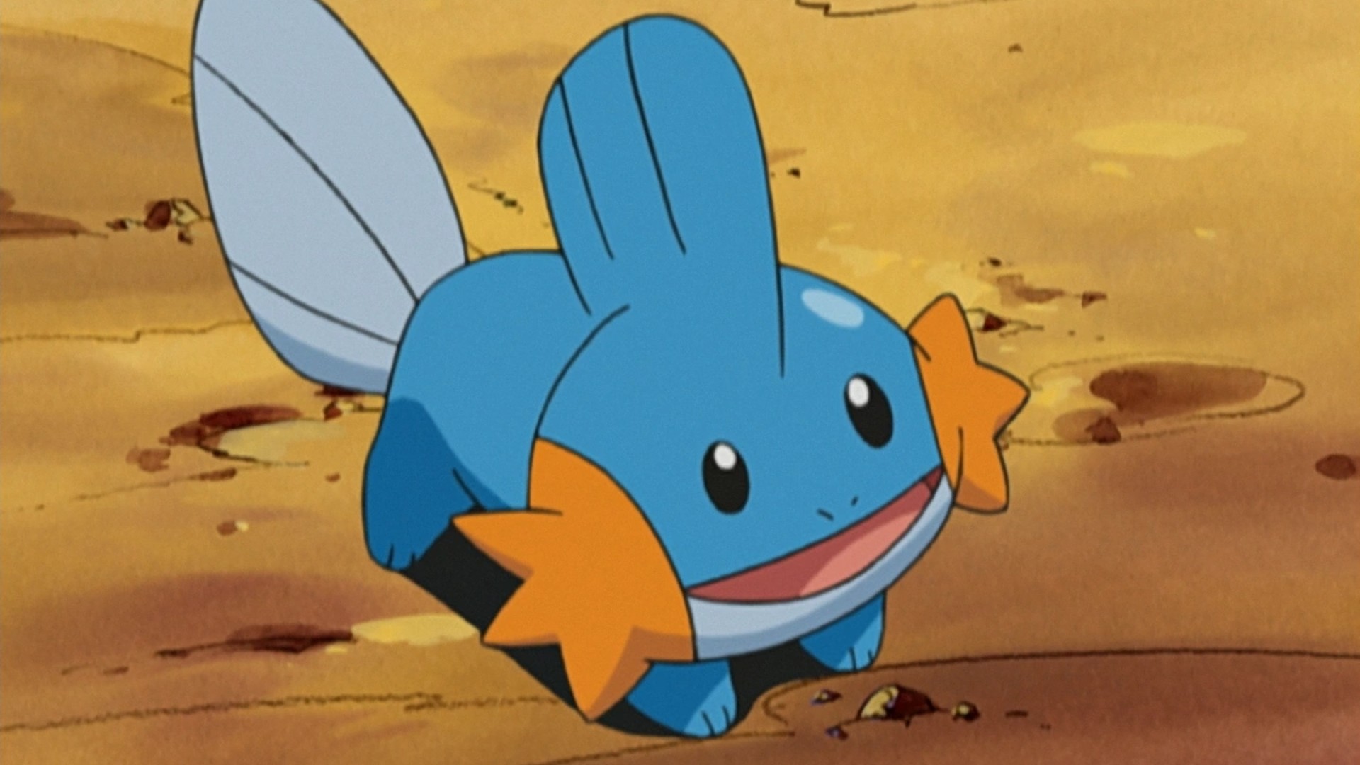 4. Mudkip