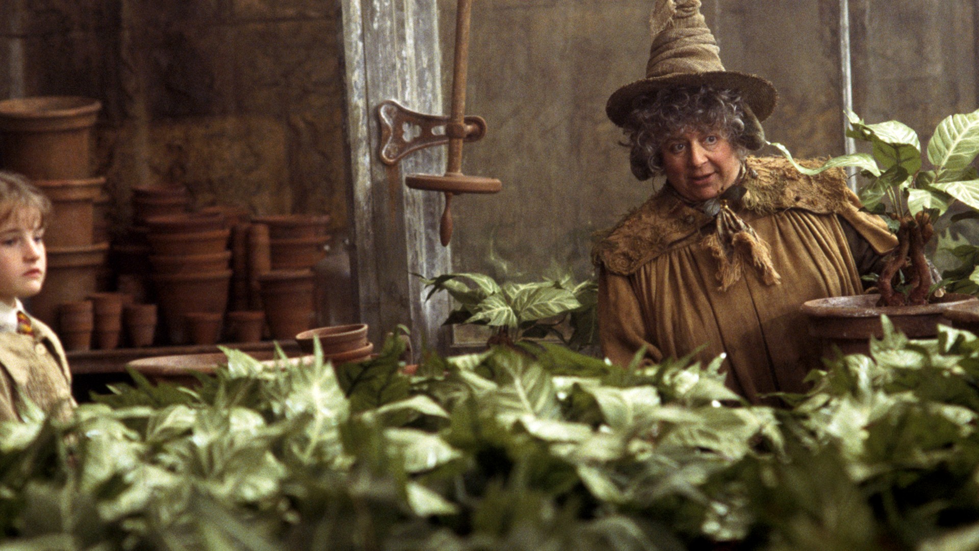5. Pomona Sprout