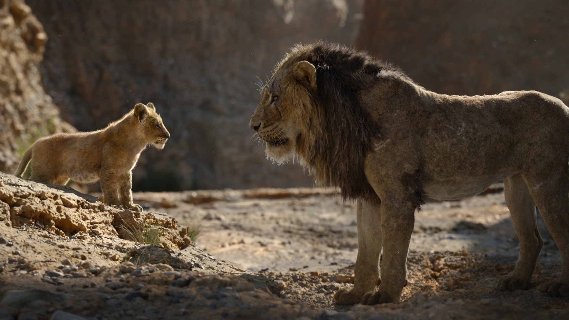 21. The Lion King (2019)
