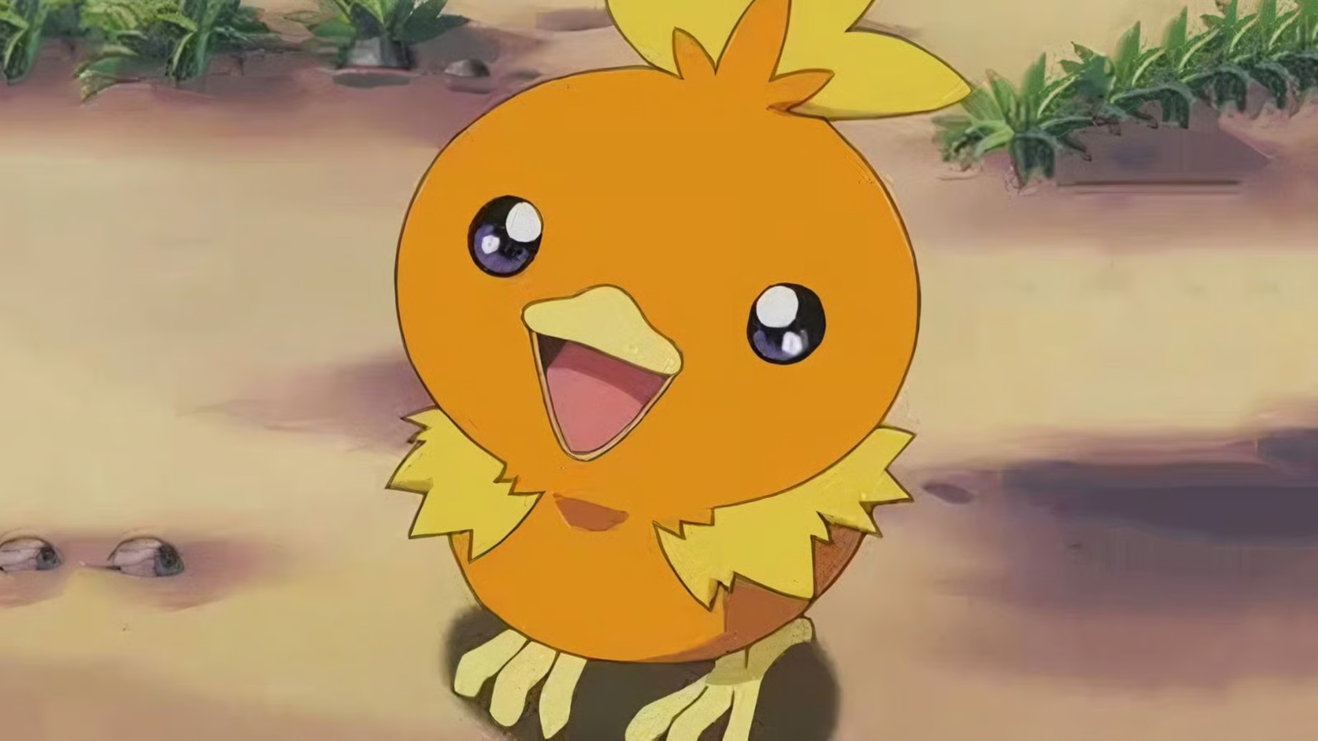 6. Torchic