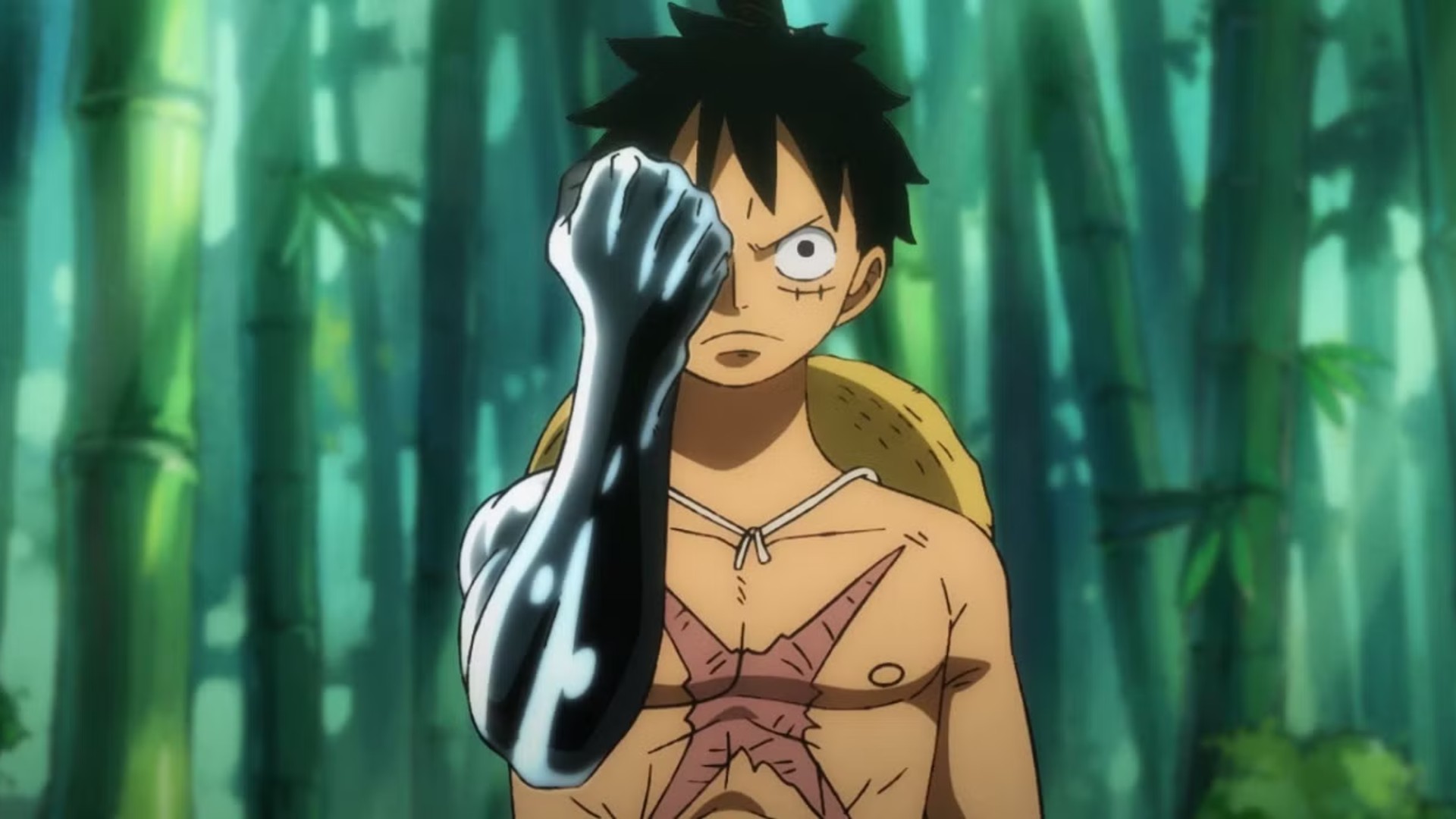 5. Emet’s Observation of Luffy