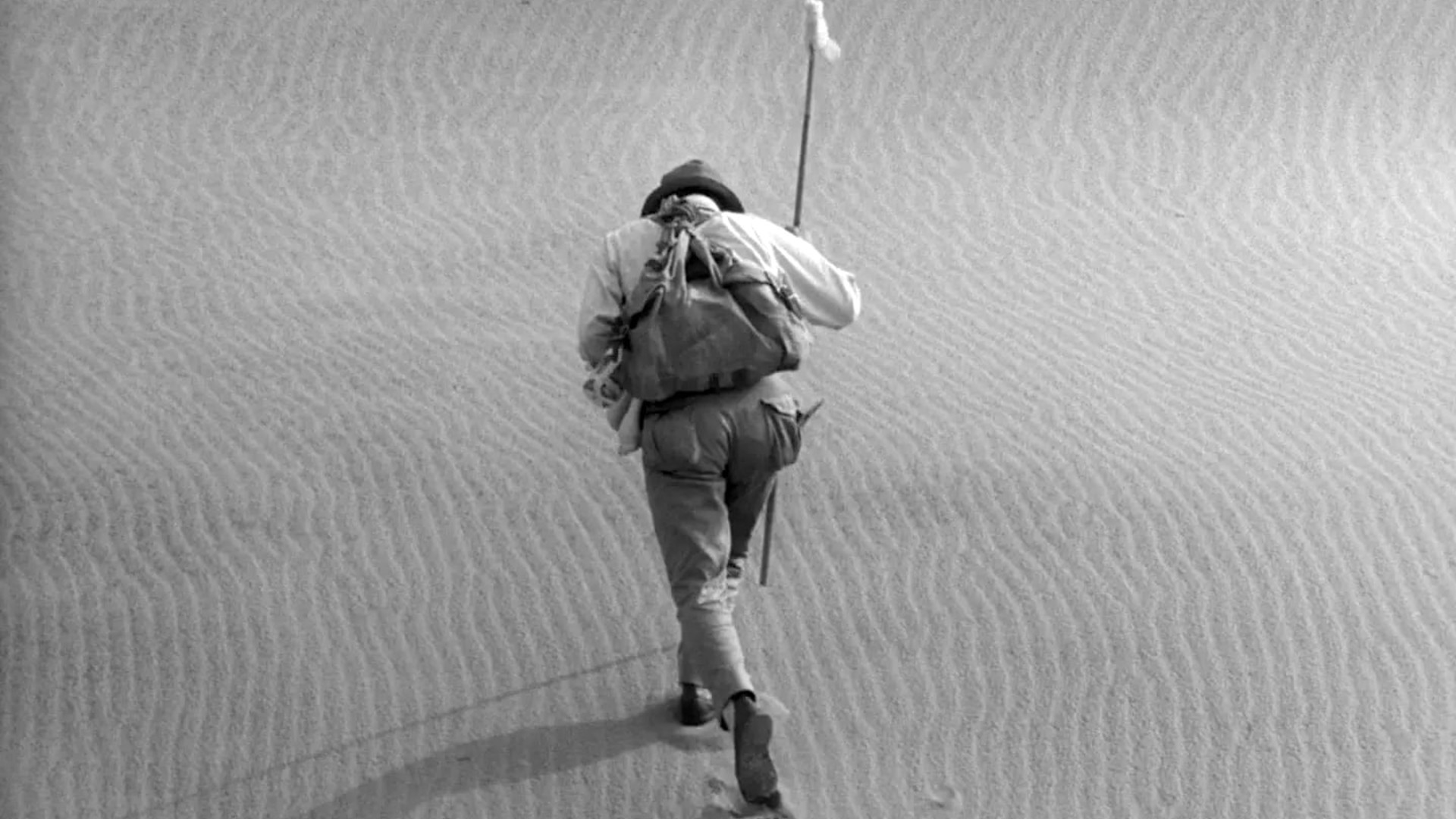 10. Woman in the Dunes (1964, Hiroshi Teshigahara)