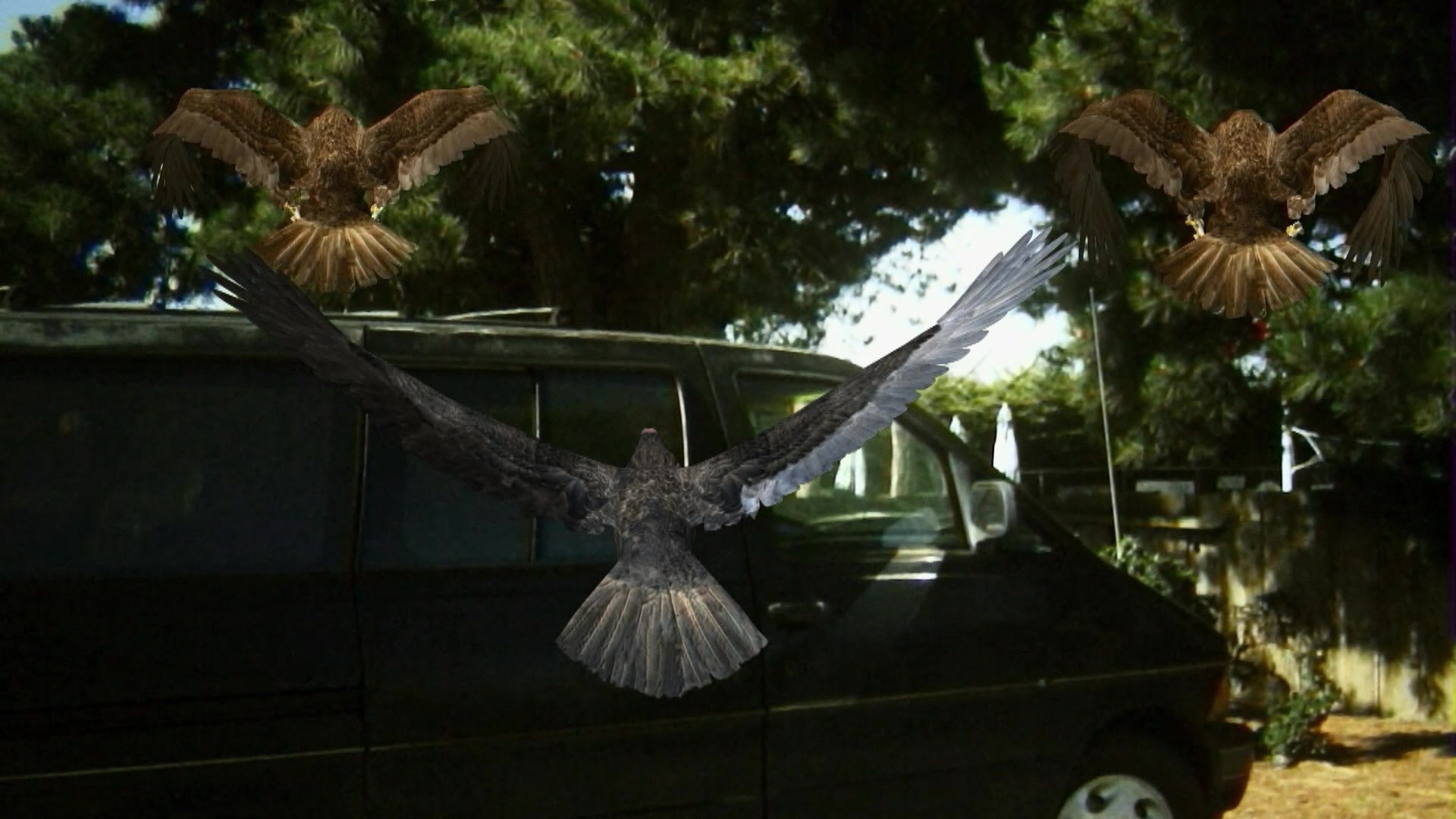 6. Birdemic: Shock and Terror (2010)