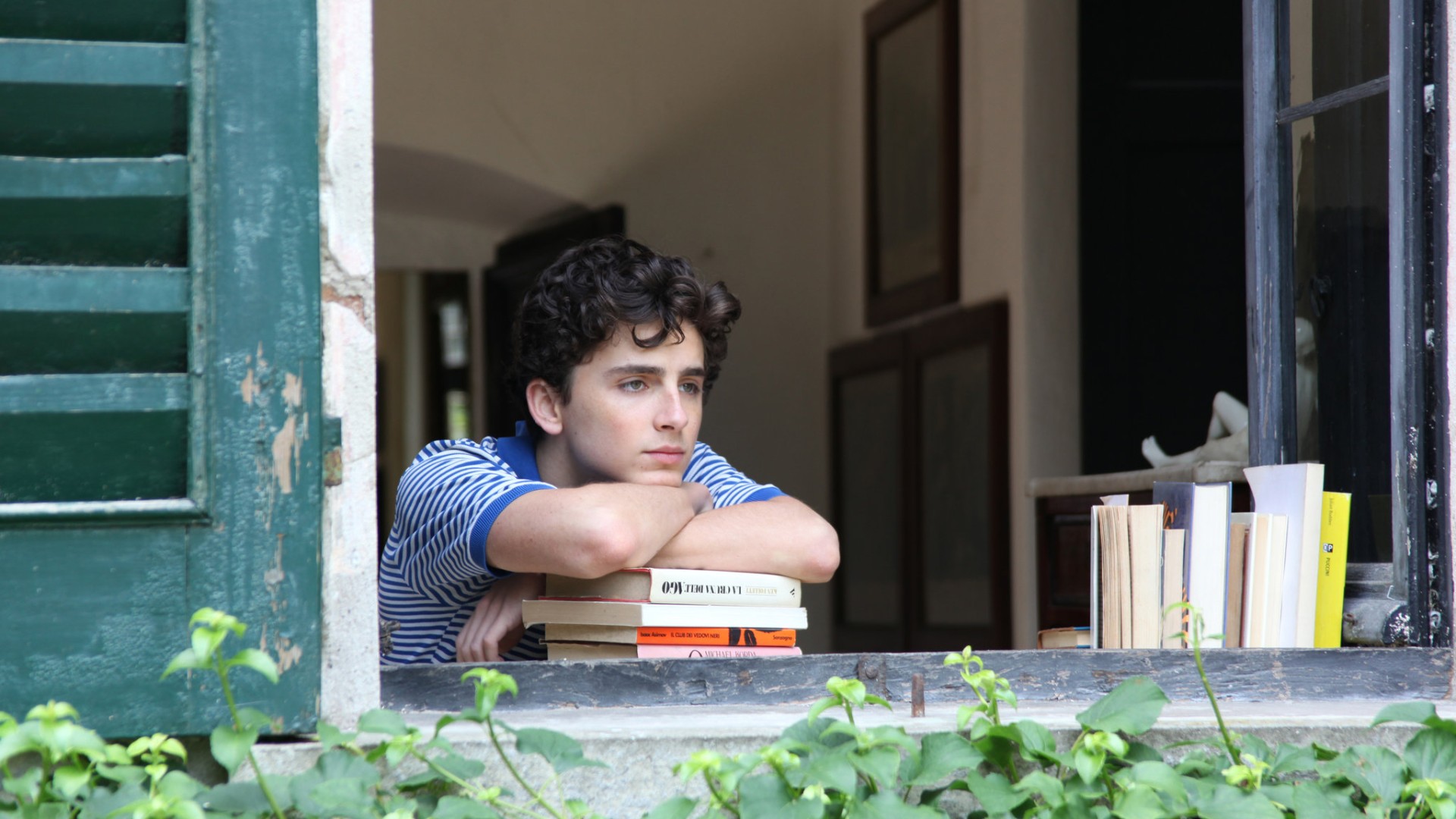 6. Elio Perlman (Call Me by Your Name, 2017)