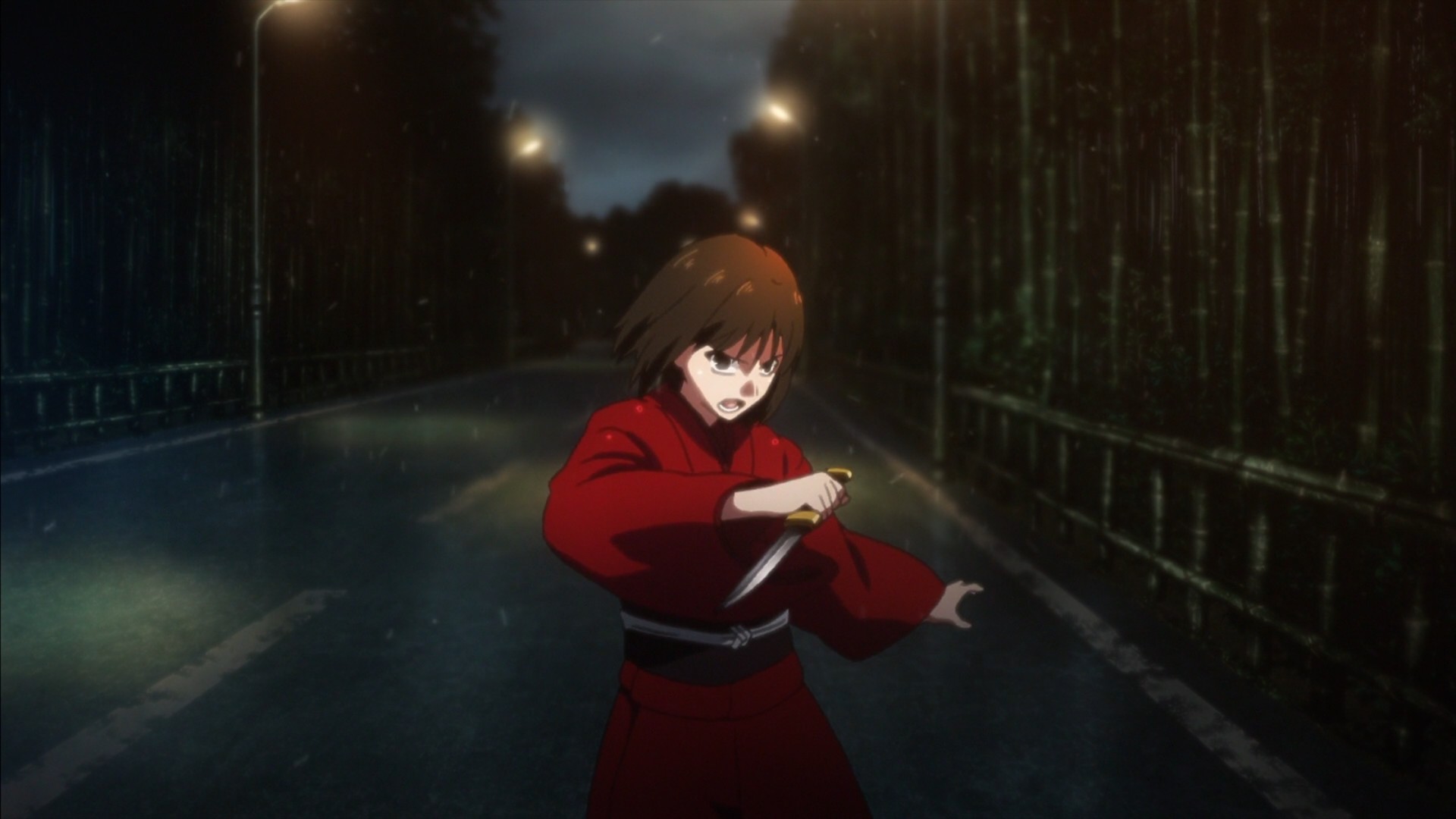9. Kara no Kyoukai (The Garden of Sinners)