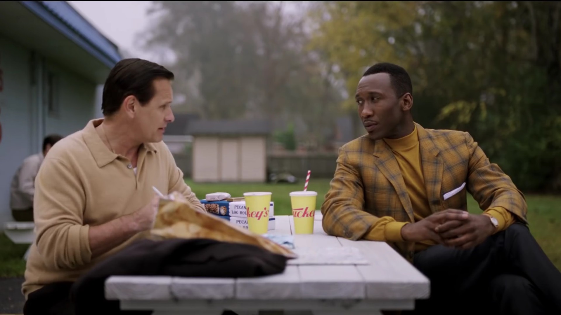 4. Green Book (2018) — Best Picture