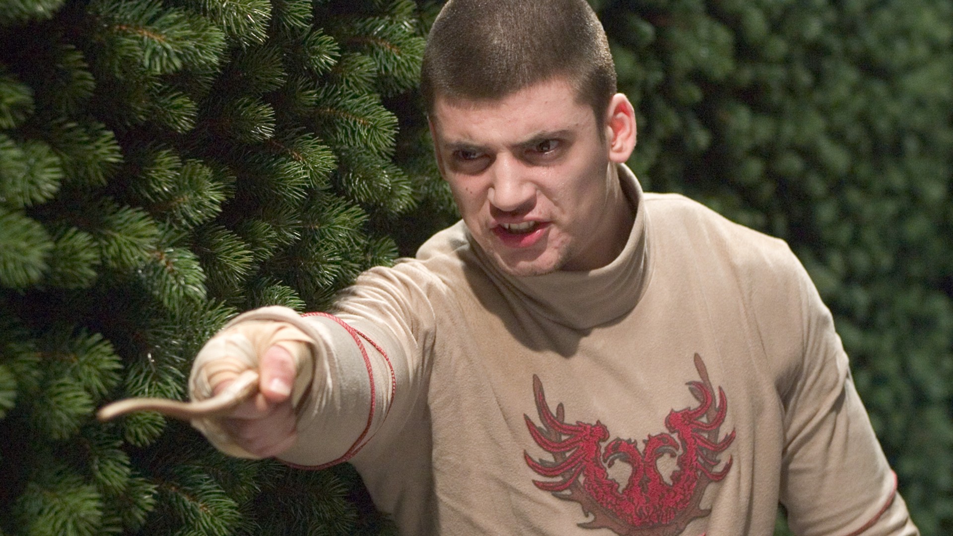 5. Viktor Krum