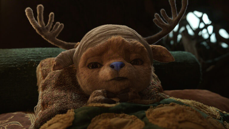 One Piece's Mikaela Hoover reveals her unconventional way to voice Chopper tony tony chopper one piece live action