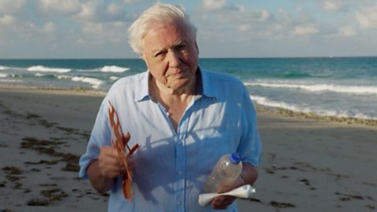 sir david attenborough