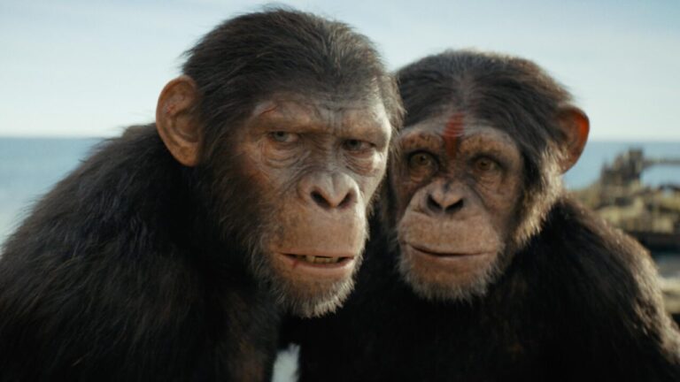kingdom of planet of apes stills